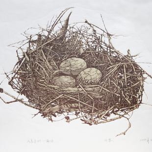 成长系列之期待 成长系列之期待