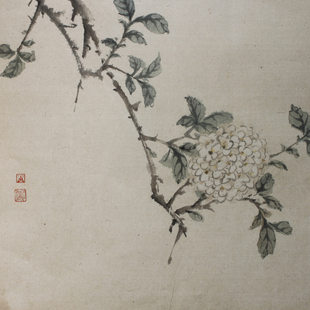 绣球1 绣球1