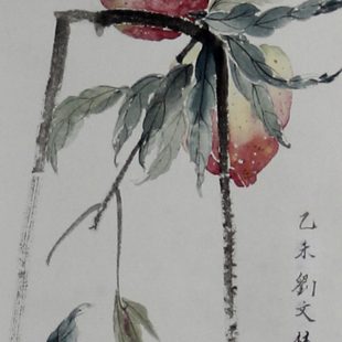 五福同寿 五福同寿