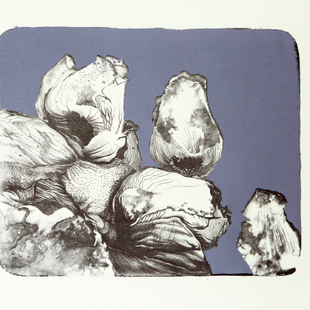 花语系列 8 花语系列 8