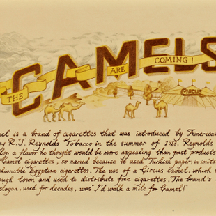 消费风景1 CAMEL‘s History 消费风景1 CAMEL‘s History