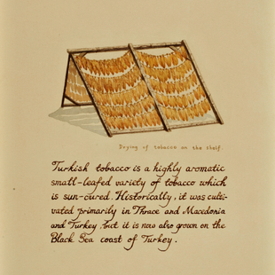 消费风景1 Drying Tobacco 消费风景1 Drying Tobacco