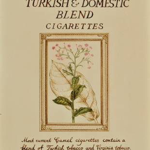 消费风景1 Turkish & Domestic 消费风景1 Turkish & Domestic