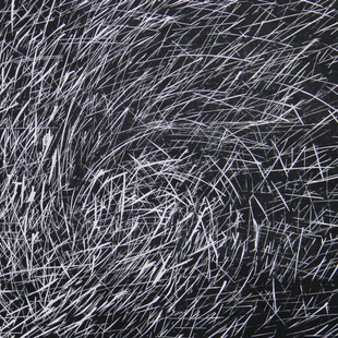 自然之姿系列 5 自然之姿系列 5