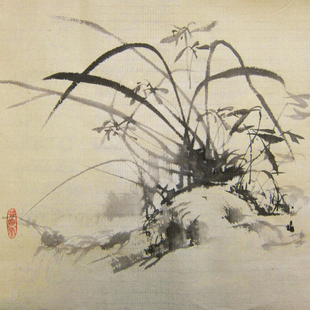 墨兰图 墨兰图