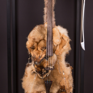 《哀鸣系列弦乐四重奏——倍低音提琴》 《哀鸣系列弦乐四重奏——倍低音提琴》