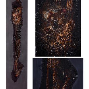 发生系列 3 发生系列 3