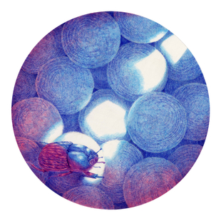 变形记之三 变形记之三