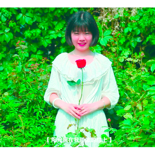 我们仍未知道那天所看见的花的名字-6 我们仍未知道那天所看见的花的名字-6
