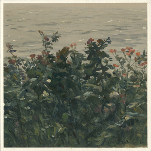 小花 小花
