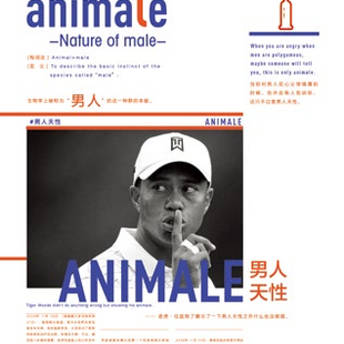 芝士报之11 芝士报之11