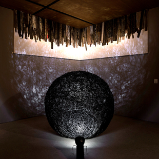 误入藩篱6 误入藩篱6