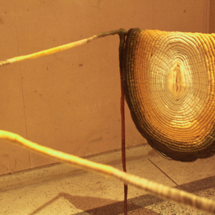 我的身体,我的情绪7 我的身体,我的情绪7