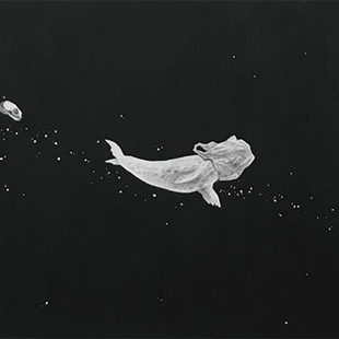 《自然历史博物馆》-美洲海豹 《自然历史博物馆》-美洲海豹