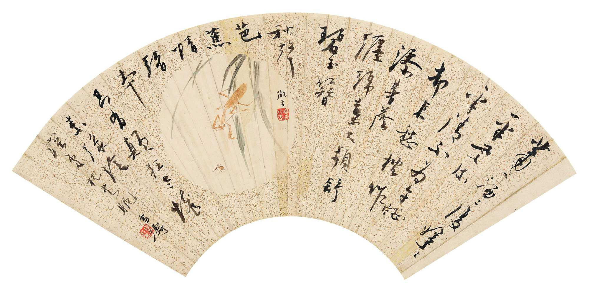 Insects and Calligraphy