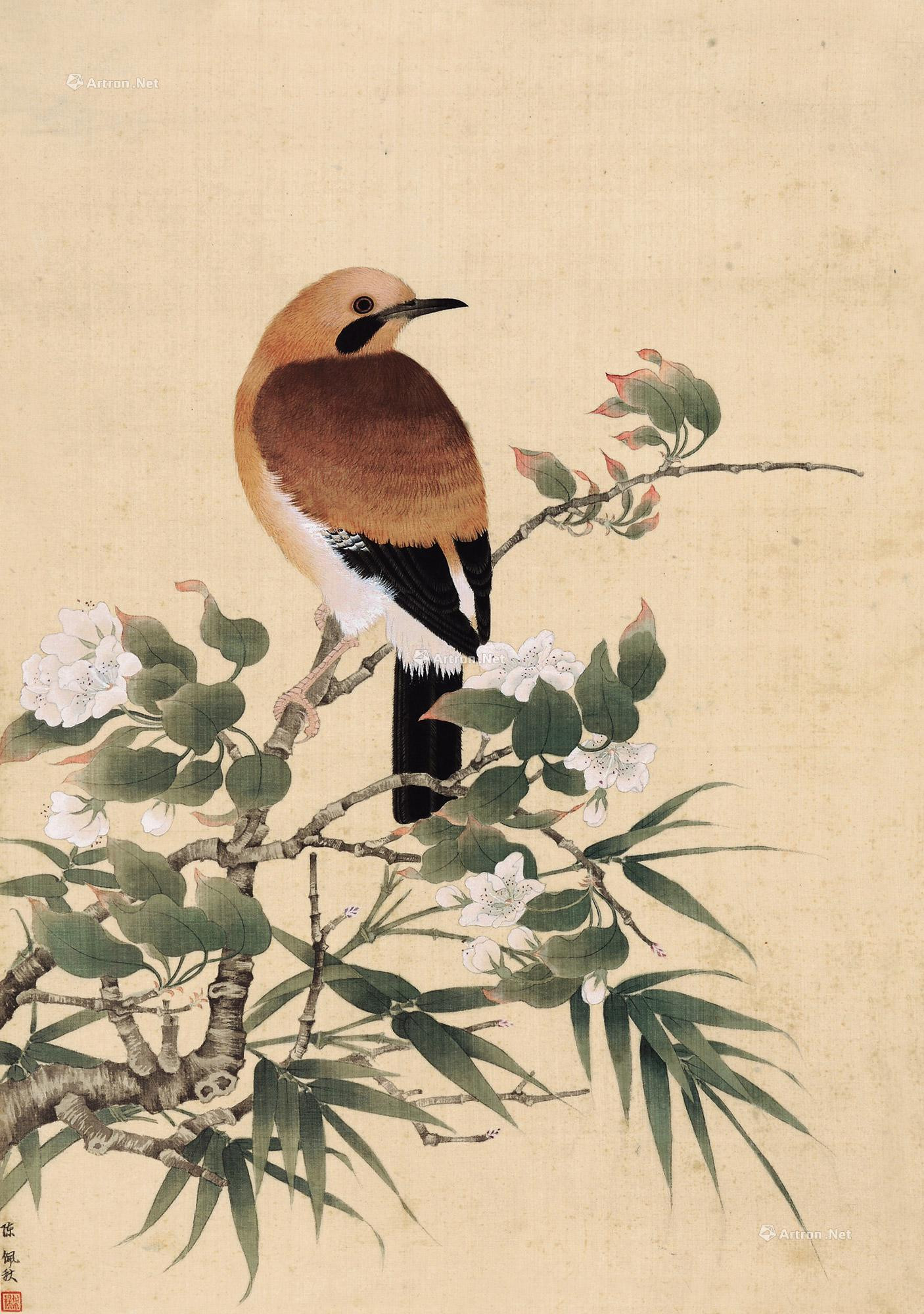 Bird and bamboo