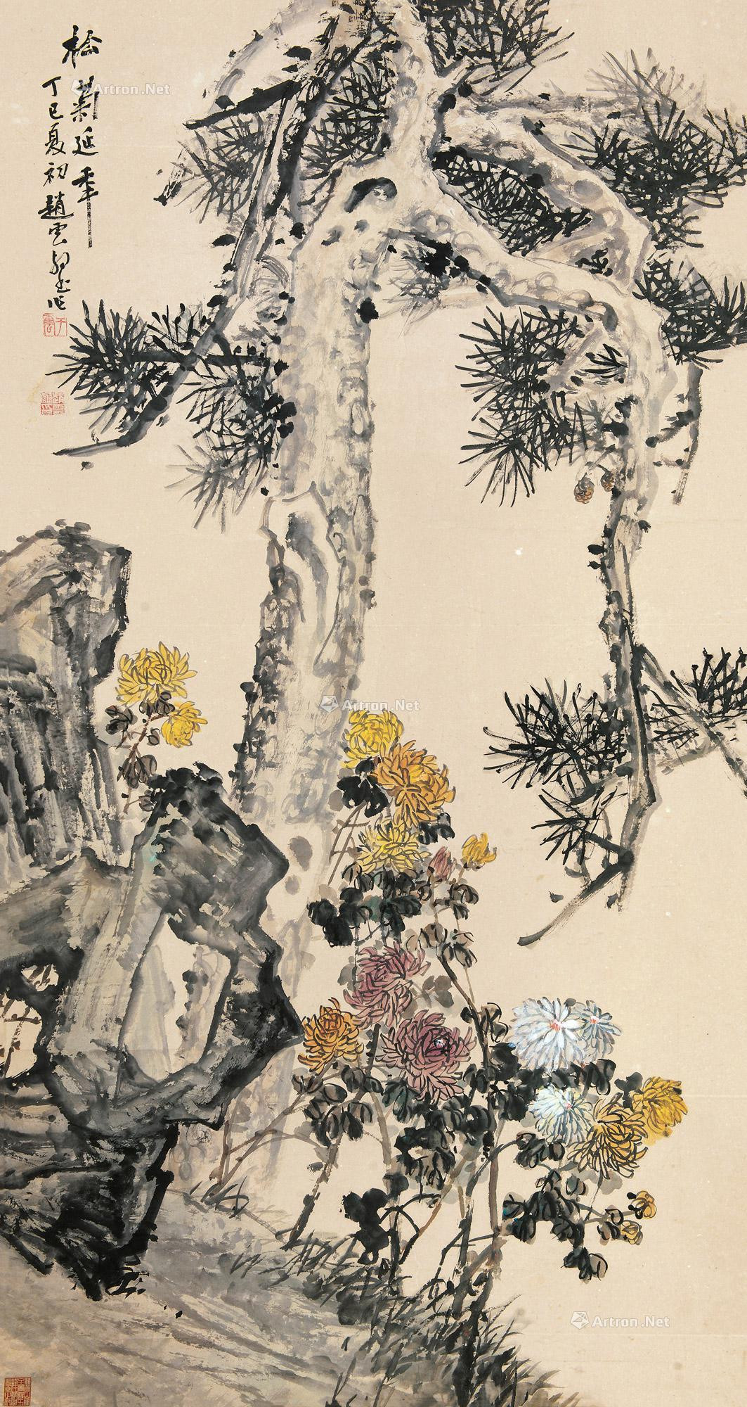 Pine and Chrysanthemum