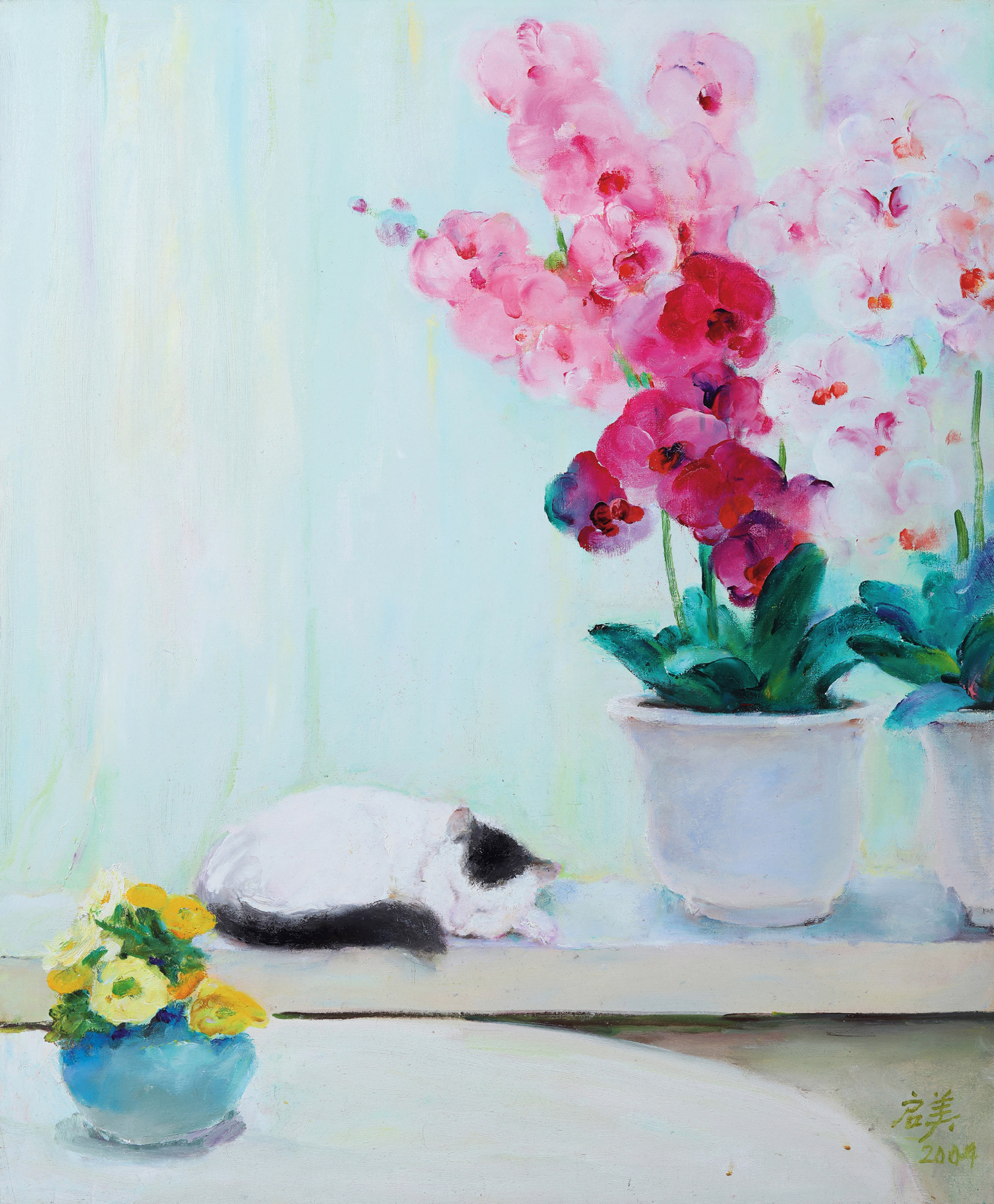 PHALAENOPSIS AND CATS