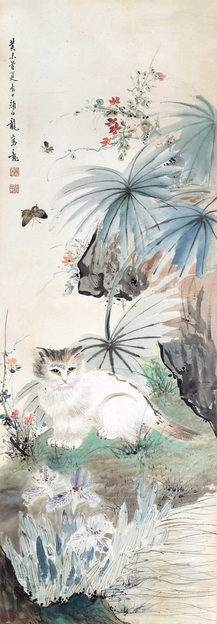 Butterfly And Cat
