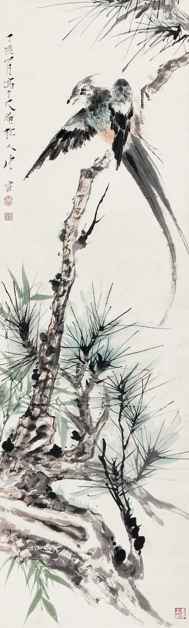Birds ane Pine