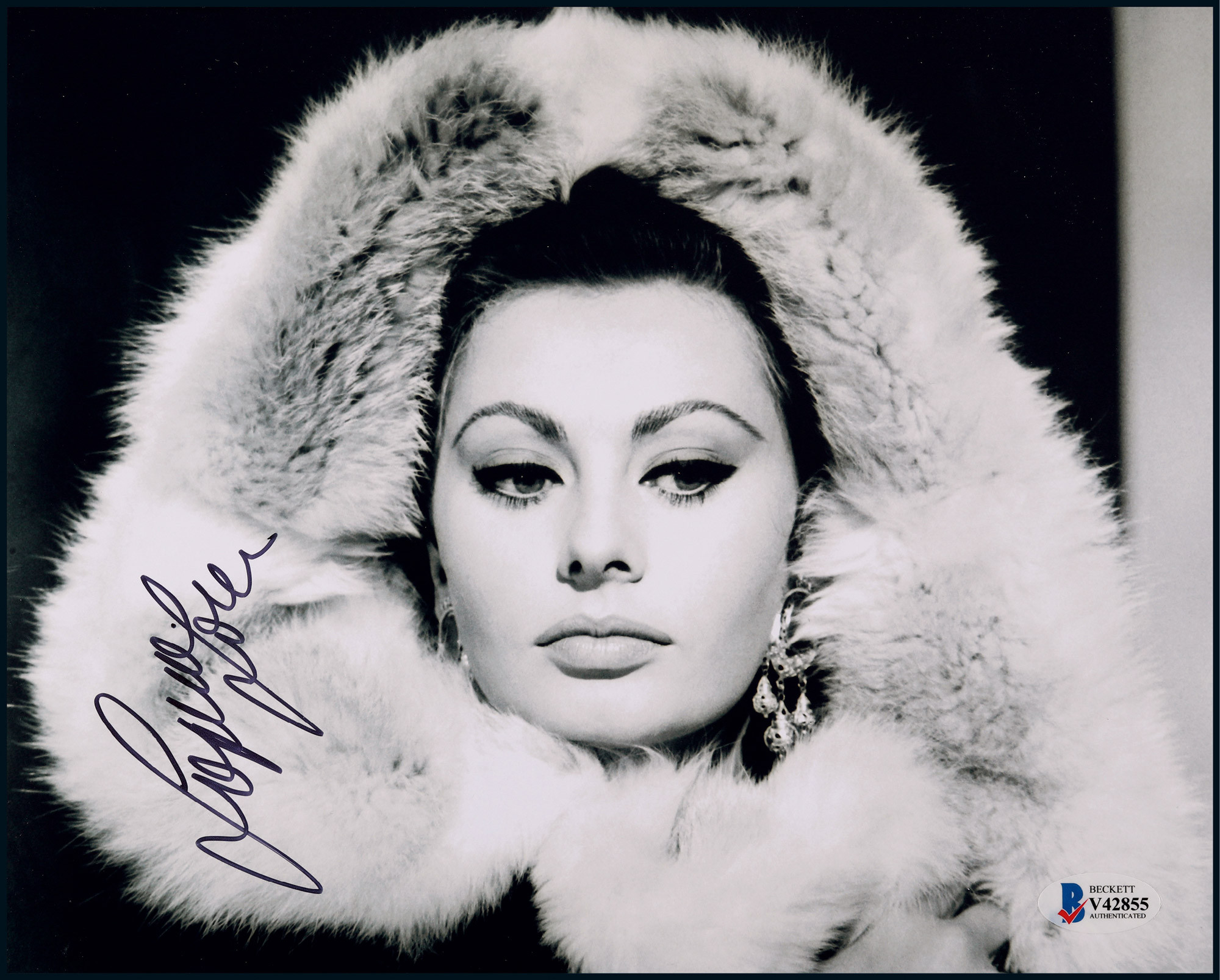 The autographed photo of Sophia Loren, “the famous Italian actress”, with certificate