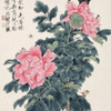 微信分享图