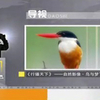 微信分享图