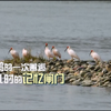 微信分享图
