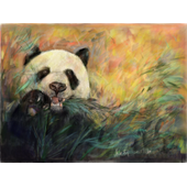 苏大朝​ 阳光下的大熊猫